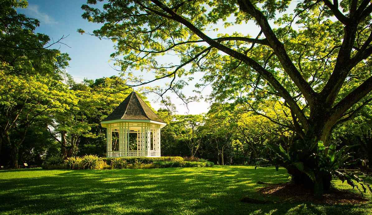 Hotel & Accommodation in Singapore Botanic Gardens