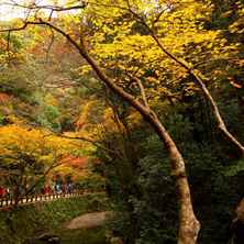 Meijinomori Minoh Quasi-National Park