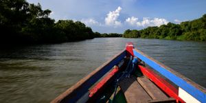 Penginapan Rungkut