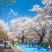 Ueno Park