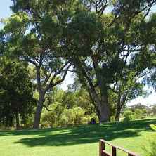 Kings Park dan Botanic Garden