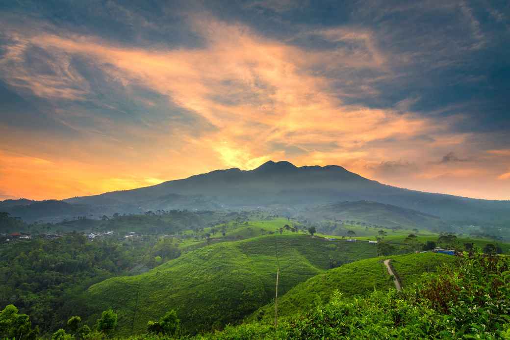 在格穆宁茶园的飯店和住宿