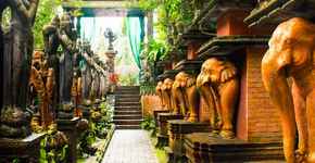 Villas in Koh Samui