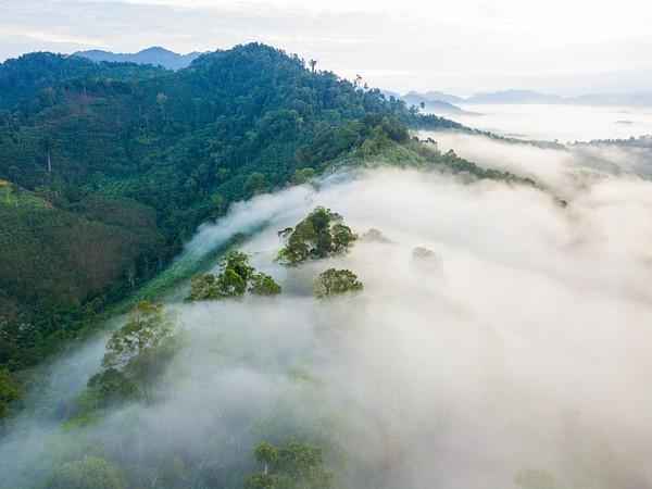在奈岛的飯店和住宿