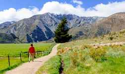 โรงแรม ใน Marlborough