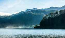 Hotels in Ponorogo City Center