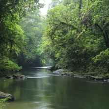 古农帕隆国家公园
