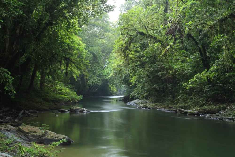 在西加里曼丹的飯店和住宿