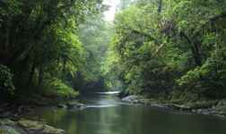 Hotels in Kubu Raya Regency