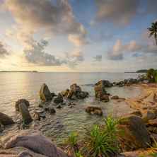 Raja Haji Fisabilillah Airport (TNJ)