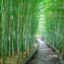 内藏山国立公园