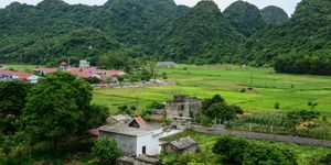 Cat Ba Township Hotels