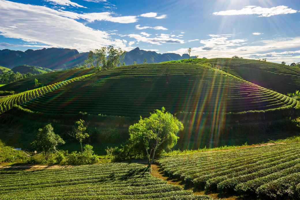 Hotel & Accommodation in Nghe An Province