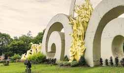 塔瑙安市的飯店