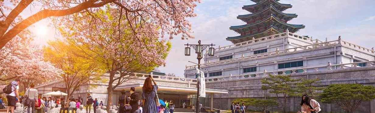 Hotel & Accommodation in New Hwansang Sora Minbak