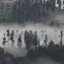 Alun - Alun Probolinggo