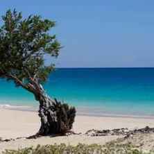 Universitas Nusa Cendana