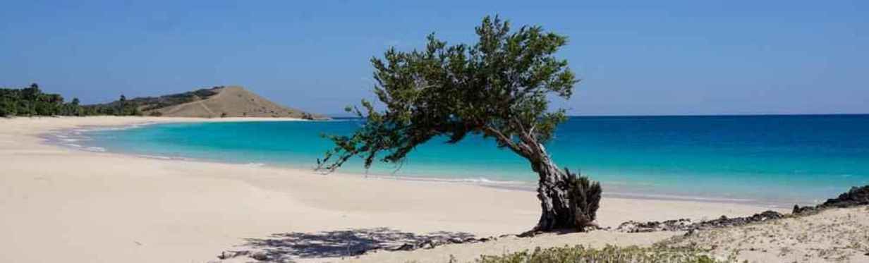 Hotel Kupang & Penginapan Terdekat Sekitarnya