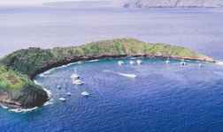 Apartments in 茂宜县