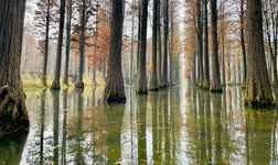 Khách sạn Thanh Phố