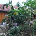 Hình ảnh đánh giá của Green Peace Bungalow từ Nhung N.