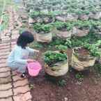 Ulasan foto dari Villa Green Apple Garden Blok Z dari Marphina M.