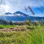 Hình ảnh đánh giá của The Breezy Volcano 3 từ Uun A.