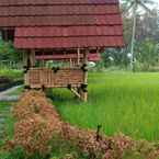 Ulasan foto dari Villa Sawah Resort dari Tio C. S.