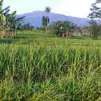 Imej Ulasan untuk Ranca Resort Ciater , Lembang - Bandung dari Muhammad F.