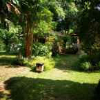 รูปภาพรีวิวของ Khao Yai Cottage จาก Marupong W.