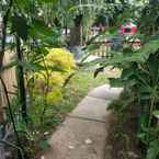 Review photo of BaliOmah Guesthouse from Handy P.