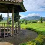 Review photo of Tani Jiwo Hostel Dieng from Dessy R.