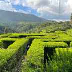 Imej Ulasan untuk Taman Simalem Resort dari Kresno S.