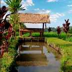 Review photo of Sang Tirta Farm Living Resort from Fauji F.