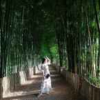 Ulasan foto dari Bamboo Grove Chiangmai dari Jaruwan B.