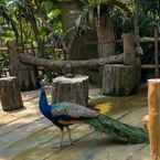 Hình ảnh đánh giá của Royal Safari Garden Resort & Convention 3 từ Rima F.