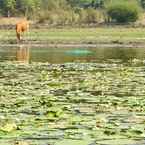 Review photo of Lak Tented Camp from Nguyen N. D.