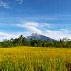 Ulasan foto dari Jembarati Family Lodge Yogyakarta dari Agus H. P.