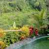 Riverside Jogja Sleman Harga Hotel Terbaru Di Traveloka