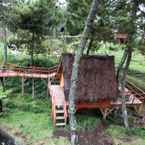 Review photo of Papandayan Camping Ground from Anita G.