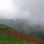 รูปภาพรีวิวของ Baan Chom Dao - Phu Thap Buek 2 จาก Chetetha M.