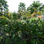 Review photo of Ubud Tropical Garden 		 from Gabriella W. A.