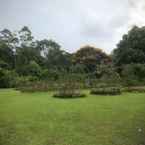 Review photo of Kebun Mawar Situhapa from Shirley W.