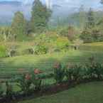 Review photo of Kebun Mawar Situhapa 3 from Shirley W.