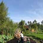 Ulasan foto dari Jembarati Family Lodge Yogyakarta dari Ashri A.