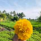 Ulasan foto dari Jembarati Family Lodge Yogyakarta 2 dari Ashri A.