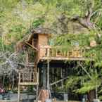 Ulasan foto dari Tree House Bungalows Resort 2 dari Le T. N. H.