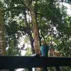 Review photo of Permai Rainforest Resort from Iwan S.