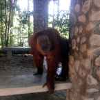 รูปภาพรีวิวของ Orangutan Bungalow 3 จาก Ulfah U.