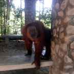 Review photo of Orangutan Bungalow 3 from Ulfah U.